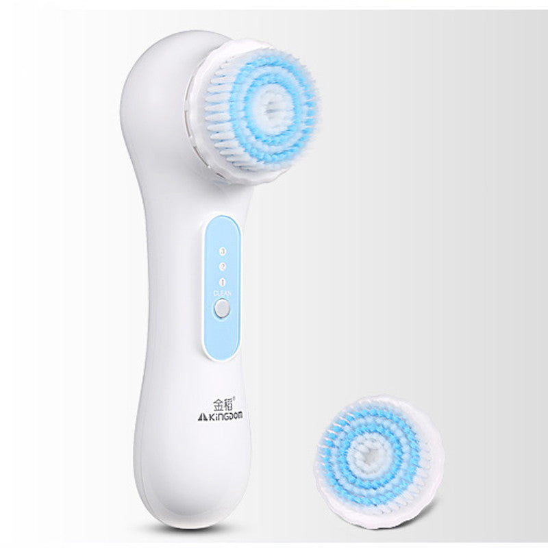 Two-in-one Cleaning Instrument