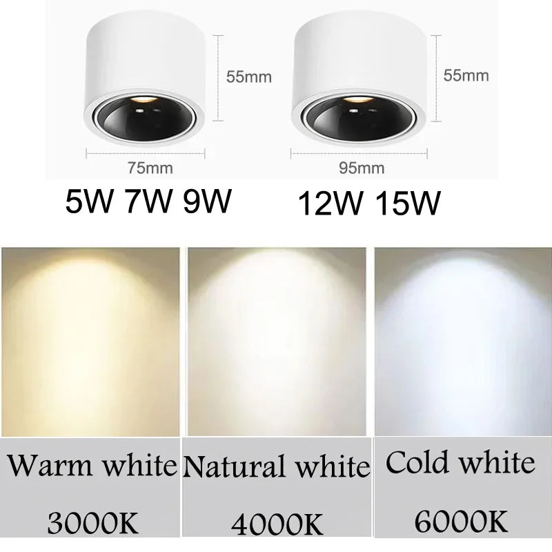 Surface Mounted Small Ceiling LED Light