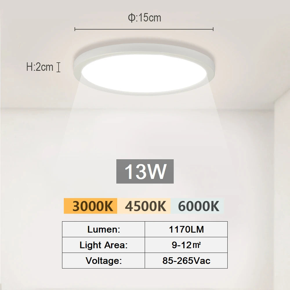 LED Ceiling Modern Corridor Light Lamp