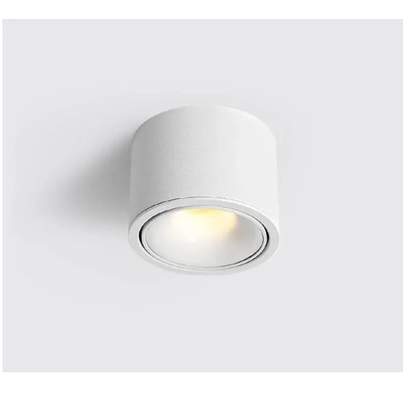 Surface Mounted Small Ceiling LED Light