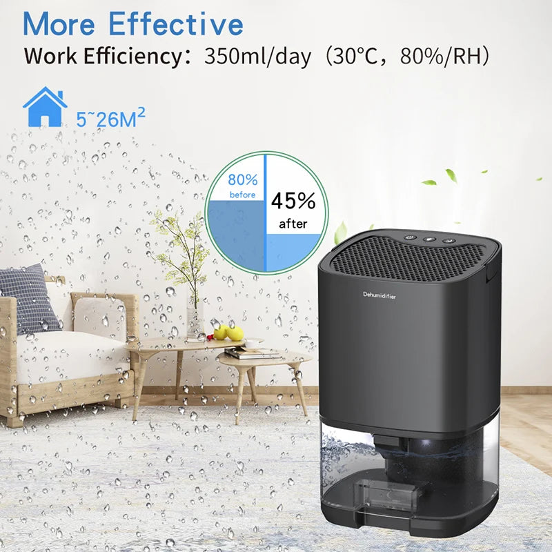 Mute Moisture Pattern Air Dehumidifier