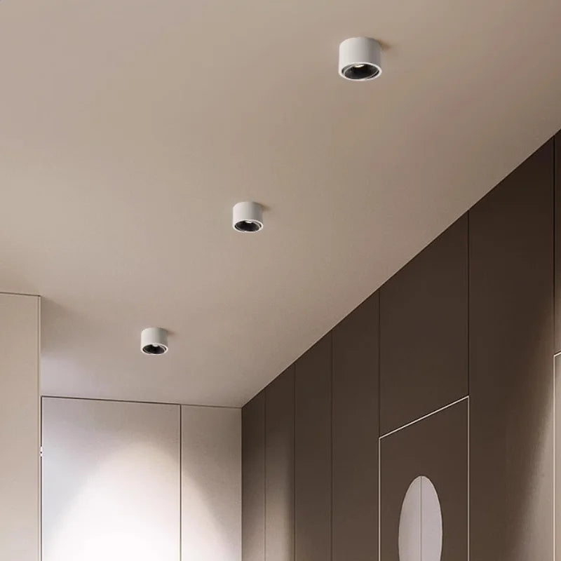 Surface Mounted Small Ceiling LED Light