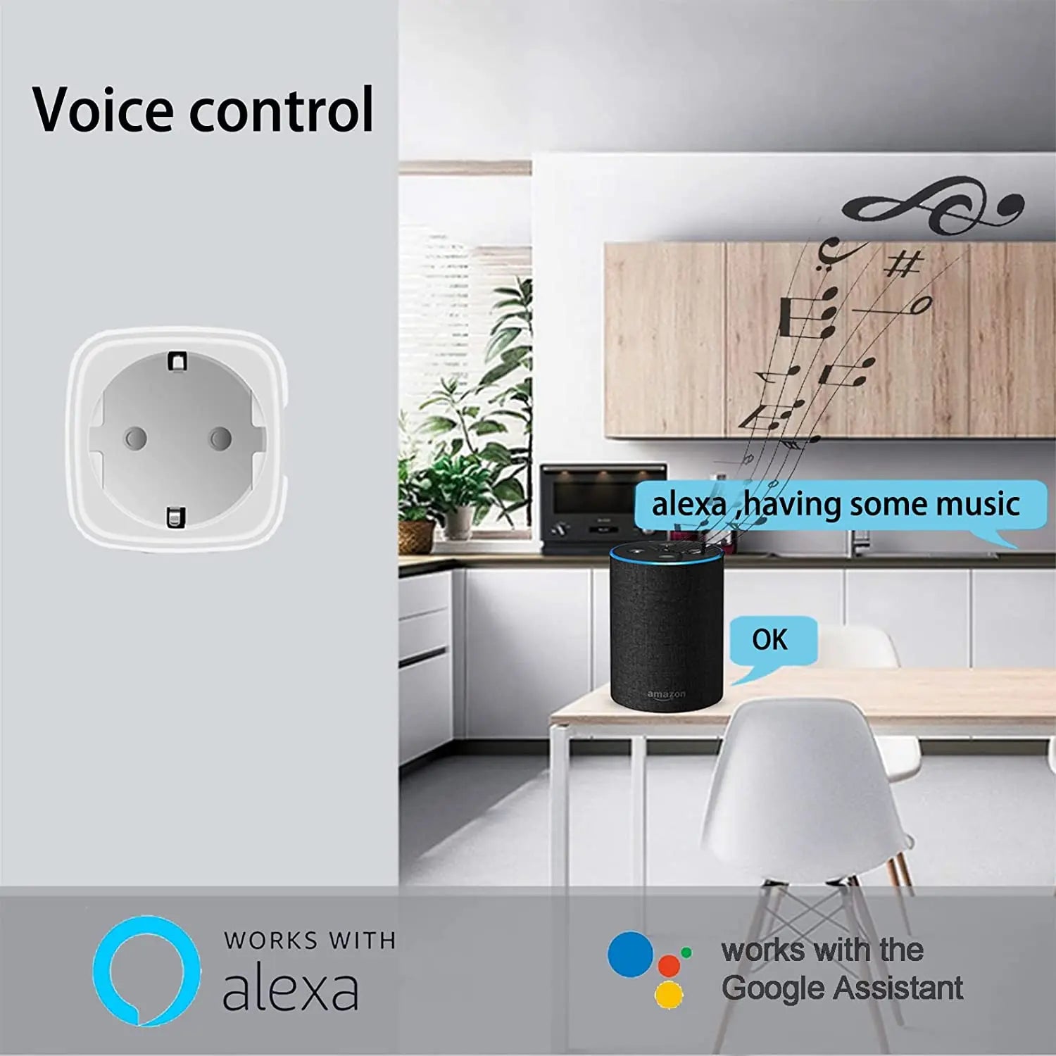 Smart APP Remote Control Support Plug