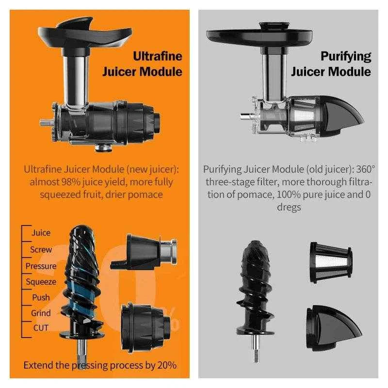 250W Slow Juicer Extractor – Cold Press Vegetable & Fruit Juice Blender