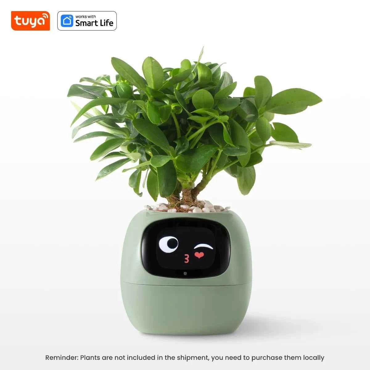 Tuya Ivy Smart Planter with 49+ Expressions, 7 Smart Sensors, and AI Chips for Easy Plant Care